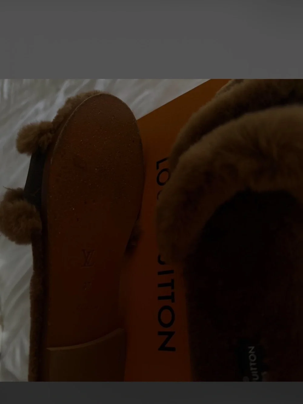 Louis Vuitton monogram canvas